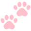 Cat paws